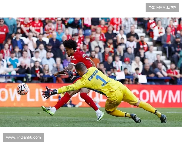 德甲达姆施塔特足球队崛起之路与未来发展前景分析 德甲达姆施塔特足球队崛起之路与未来发展前景分析