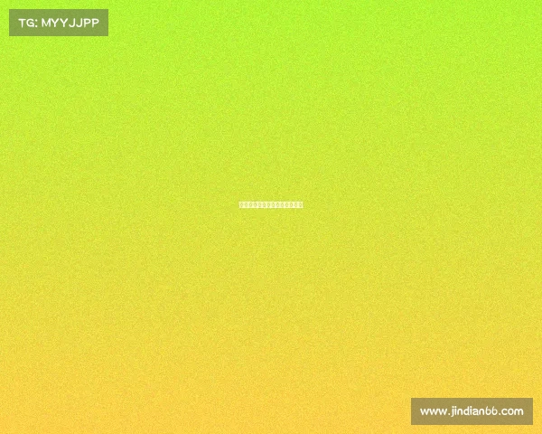 非洲冠军：大陆足球之光与荣耀